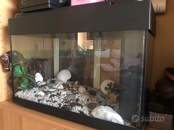 Acquario completo