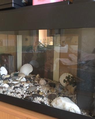 Acquario completo