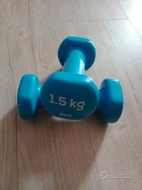 pesi  palestra