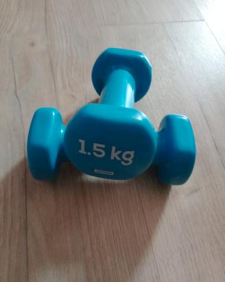 pesi  palestra