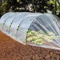 ARCHETTI PICCOLI E TESSUTO NON TESSUTO