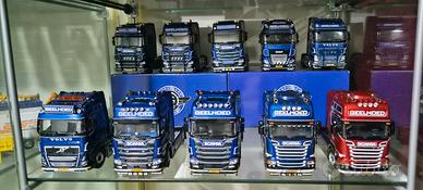 Camion 1/50 Wsi Tekno ( no rc )