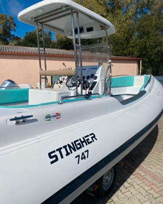 STINGHER 8 mt YAMAHA 150 x2 4t. TUBOLARI NUOVI