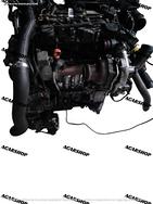 Motore DV5RC DV5RD 1.5 diesel peugeot citroen opel