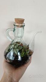 Terrarium-terrari su prenotazione
