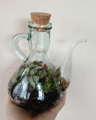 Terrarium-terrari su prenotazione