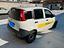 Immagine 6