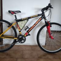 Bici Donna Mountain Bike Lee Cougan