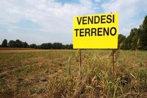 Padova - camin - terreni edificabili