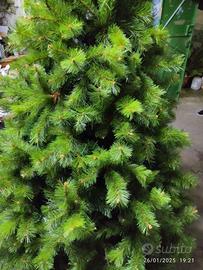 Albero di Natale 2025