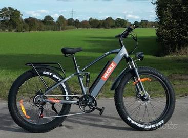 Fat Bike Elettrica 750W