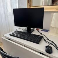 Schermo HP per desktop