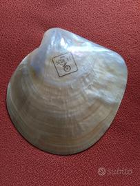 Conchiglia in madreperla naturale 