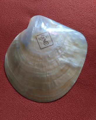 Conchiglia in madreperla naturale 
