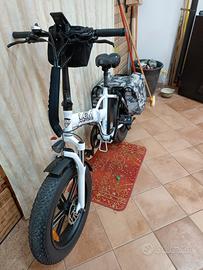 bici elettrica 