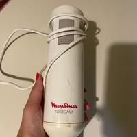 Frullatore immersione