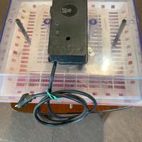 Incubatrice covatutto 20