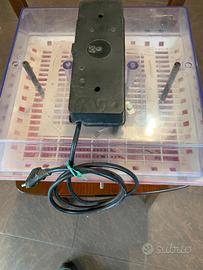 Incubatrice covatutto 20