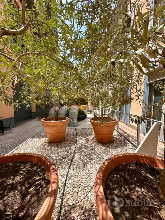 Appartamento – RM - Vista 3