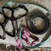 Oggetti vari per cane grande