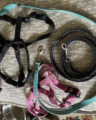 Oggetti vari per cane grande