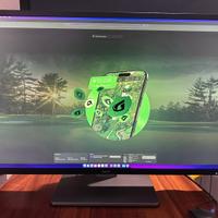 Philips P Line 439P1/00 43”