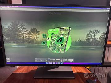 Philips P Line 439P1/00 43”