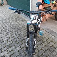 emtb raymon fullray 10.0 carbon
