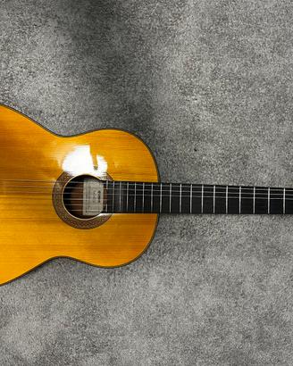Chitarra Yamaha