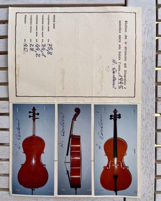 Violoncello Assunto Carloni 1995 + custodia rigida