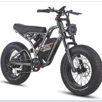 E-BiKe Fafrees F20 ULTRA