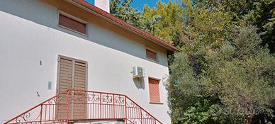 Villa con 6 ettari di uliveto.