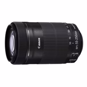 Telebbiettivo Reflex Canon 55-220mm F4-5.6 STM