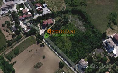 Terreno Agricolo, Contrada Colle delle Api - Ca...