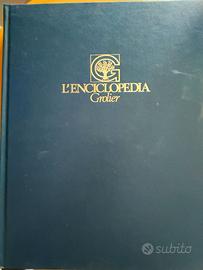 Enciclopedia 20 volumi + dizionario inglese