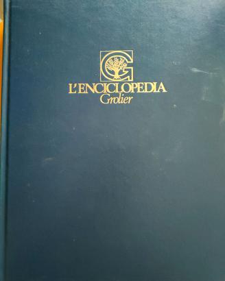 Enciclopedia 20 volumi + dizionario inglese