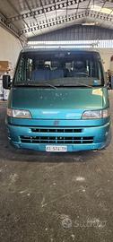 Fiat Ducato 9 posti 2.5 TD anno 98