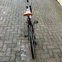 bicicletta montain bike