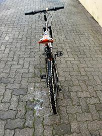 bicicletta montain bike