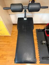 Panca per addominali Technogym crunch