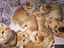 Immagine 6