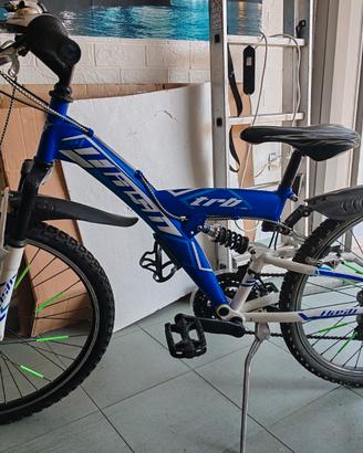 bicicletta