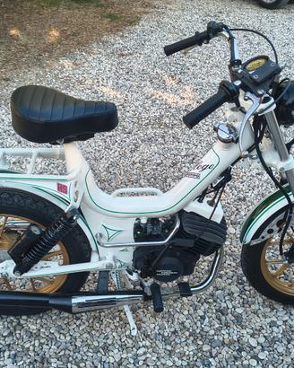 Rarissimo  Oscar colleg prototipo  RS 