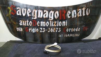 Sensore Protezione pedoni BMW F11 530 10149241787