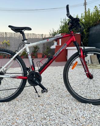 Bicicletta rock rider