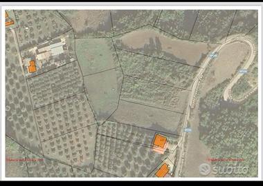 Terreno agricolo