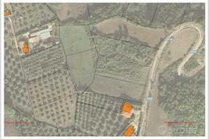 Terreno agricolo