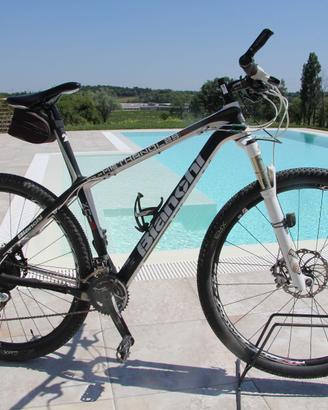 Bianchi Methanol 29 Carbonio