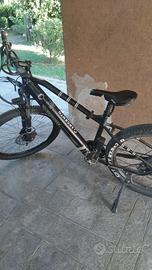 Mountain Bike Elettrica ARGENTO PERFORMANCE