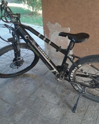 Mountain Bike Elettrica ARGENTO PERFORMANCE